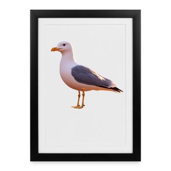 Möwe Strand Meer Nordsee Ostsee Silbermöwe Möwen - Gerahmtes Poster (27 × 37 cm) - Schwarz - Vorne