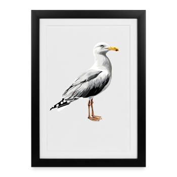 Möwe Strand Meer Nordsee Ostsee Silbermöwe Möwen - Gerahmtes Poster (27 × 37 cm) - Schwarz - Vorne