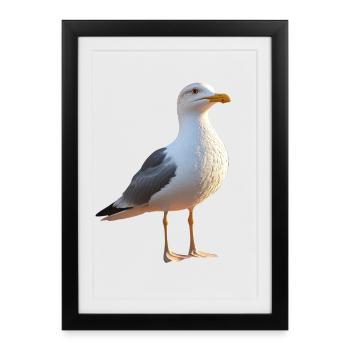 Möwe Strand Meer Nordsee Ostsee Silbermöwe Möwen - Gerahmtes Poster (27 × 37 cm) - Schwarz - Vorne