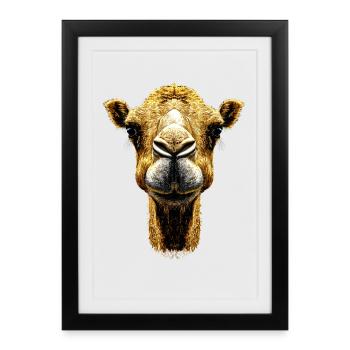 Chameau Dromadaire Camel de Bactriane Cadeau Chameaux - Affiche encadrée (27 × 37 cm) - noir - Devant