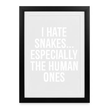I hate snakes especially the human ones - Framed poster (27 × 37 cm) - black - Front
