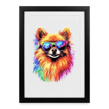 Poméranien Poméranien Poméranien Spitz allemand doux - Affiche encadrée (27 × 37 cm) - noir - Devant