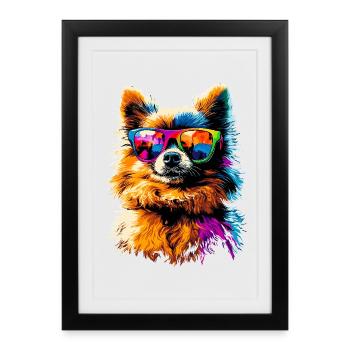 Poméranien Poméranien Poméranien Spitz allemand doux - Affiche encadrée (27 × 37 cm) - noir - Devant
