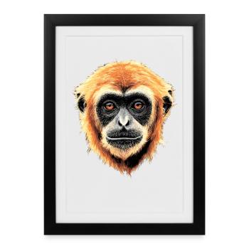Gibbon Monkey Whitehand Gibbon Monkey Cute Lar Gibbons - Framed poster (27 × 37 cm) - black - Front