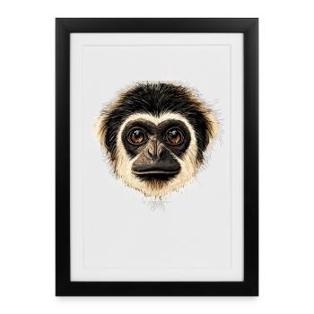 Gibbon Monkey Whitehand Gibbon Monkey Cute Lar Gibbons - Framed poster (27 × 37 cm) - black - Front