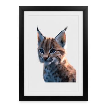 Lynx Chat sauvage Grands chats Chats Mignon Lynx - Affiche encadrée (27 × 37 cm) - noir - Devant