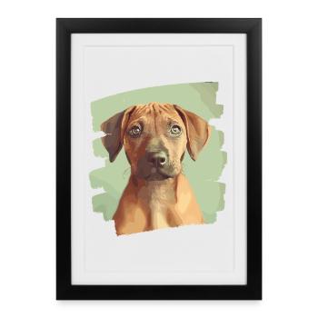 Rhodésian Ridgeback - Affiche encadrée (27 × 37 cm) - noir - Devant