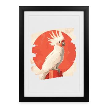 Cacatoès - Affiche encadrée (27 × 37 cm) - noir - Devant