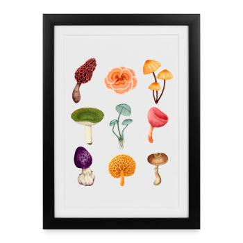 T-shirt : Cadeau de champignons forestiers inhabituels - Affiche encadrée (27 × 37 cm) - noir - Devant