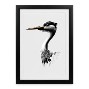 Amoureux des cigognes Cigognes blanches Cigognes géantes Cigognes - Affiche encadrée (27 × 37 cm) - noir - Devant