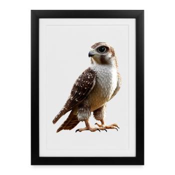 Faucon crécerelle Faucon Chasse Faucon pèlerin Faucon mignon - Affiche encadrée (27 × 37 cm) - noir - Devant