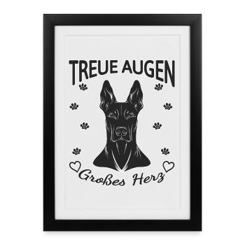 Treue Augen – Großes Herz Dobermann - Gerahmtes Poster (27 × 37 cm) - Schwarz - Vorne