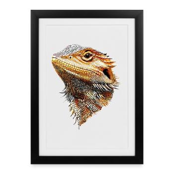 Dragon barbu lézard Dragon barbu Dragons barbus mignons - Affiche encadrée (27 × 37 cm) - noir - Devant