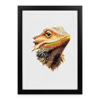 Dragon barbu lézard Dragon barbu Dragons barbus mignons - Affiche encadrée (27 × 37 cm) - noir - Devant
