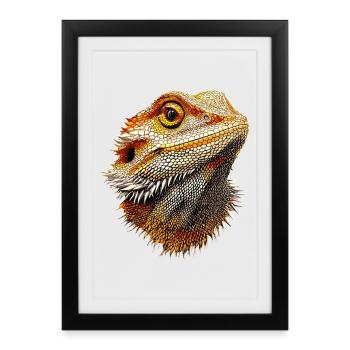 Bearded Dragon Lizard Bearded Dragon Cute Bearded Dragons - Framed poster (27 × 37 cm) - black - Front