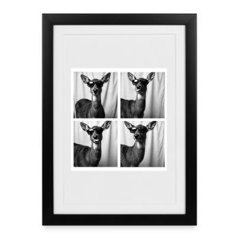 Drôle de cerf portant des lunettes de soleil Photobooth - Affiche encadrée (27 × 37 cm) - noir - Devant