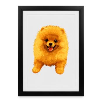 Poméranien Poméranien Poméranien Spitz allemand doux - Affiche encadrée (27 × 37 cm) - noir - Devant