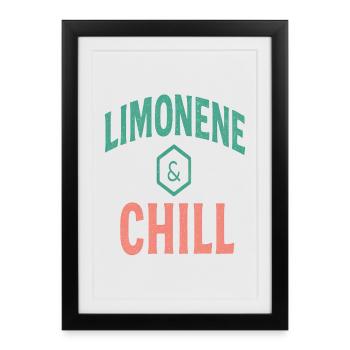 Limonène et Chill Citrus Vibes - Affiche encadrée (27 × 37 cm) - noir - Devant