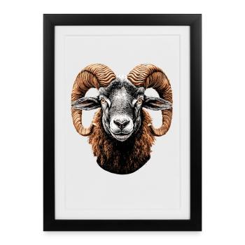 Aries mouflon Aries Wild Sheep Male Sheep - Framed poster (27 × 37 cm) - black - Front