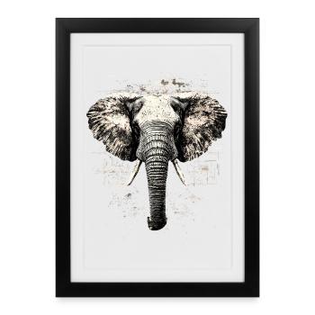Elefant Rüssel Afrika Safari Wildnis Elefanten - Gerahmtes Poster (27 × 37 cm) - Schwarz - Vorne