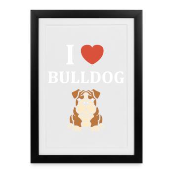 Portrait de Bulldog Expressif - Affiche encadrée (27 × 37 cm) - noir - Devant