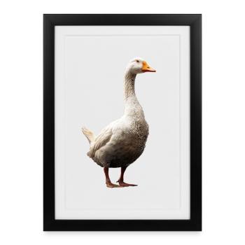 Goose Cute Goose Chicks Goose Chick Duck Small Geese - Framed poster (27 × 37 cm) - black - Front