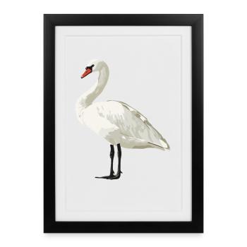 Swans Swan - Framed poster (27 × 37 cm) - black - Front