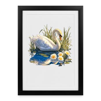 Swans Swan - Framed poster (27 × 37 cm) - black - Front