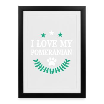Poméranien - Affiche encadrée (27 × 37 cm) - noir - Devant