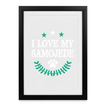 Samoyède - Affiche encadrée (27 × 37 cm) - noir - Devant