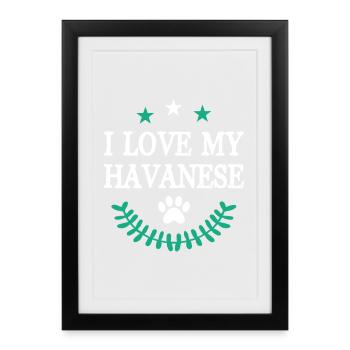 Havanais - Affiche encadrée (27 × 37 cm) - noir - Devant