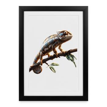Caméléon Lézard Reptile Caméléon Iguane Lézard - Affiche encadrée (27 × 37 cm) - noir - Devant