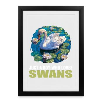 Swans Swan - Framed poster (27 × 37 cm) - black - Front