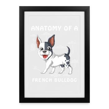 Tableau d’anatomie amusant du bouledogue français Frenchie Dog - Affiche encadrée (27 × 37 cm) - noir - Devant