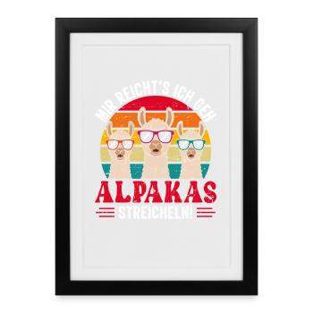 Alpaca Fan I'VE HAD ENOUGH GO STROKE ALPACAS - Framed poster (27 × 37 cm) - black - Front
