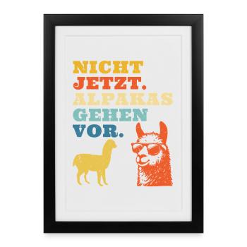 Fan d'alpagas PAS MAINTENANT LES ALPAGAS AVANT TOUT Drôle - Affiche encadrée (27 × 37 cm) - noir - Devant