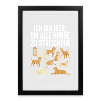Humorous dog motif with text - Framed poster (27 × 37 cm) - black - Front