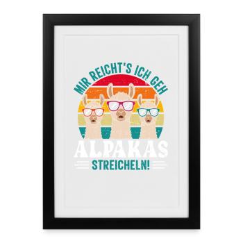 Alpaca Fan I'VE HAD ENOUGH GO STROKE ALPACAS - Framed poster (27 × 37 cm) - black - Front