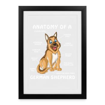 Anatomie du berger allemand - Affiche encadrée (27 × 37 cm) - noir - Devant