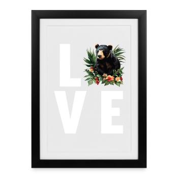 Sun Bear Malaienbär - Gerahmtes Poster (27 × 37 cm) - Schwarz - Vorne