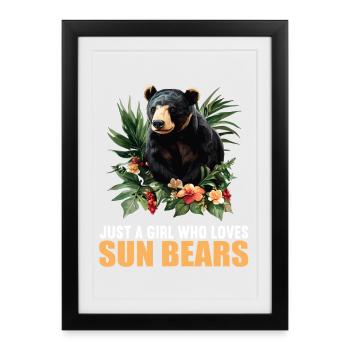 Ours du Soleil Ours Malais - Affiche encadrée (27 × 37 cm) - noir - Devant