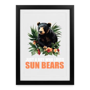 Ours du Soleil Ours Malais - Affiche encadrée (27 × 37 cm) - noir - Devant