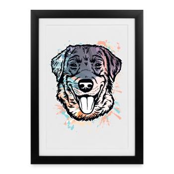 Labrador Retriever - Affiche encadrée (27 × 37 cm) - noir - Devant