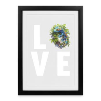 Tokay Geckos Tokay Gecko - Framed poster (27 × 37 cm) - black - Front
