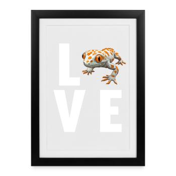 Tokay Geckos Tokay Gecko - Framed poster (27 × 37 cm) - black - Front