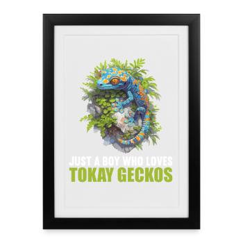 Tokay Geckos Tokay Gecko - Framed poster (27 × 37 cm) - black - Front
