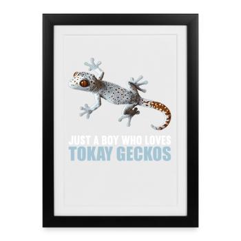 Tokay Geckos Tokay Gecko - Framed poster (27 × 37 cm) - black - Front