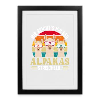 Alpaca Fan I'VE HAD ENOUGH GO STROKE ALPACAS - Framed poster (27 × 37 cm) - black - Front