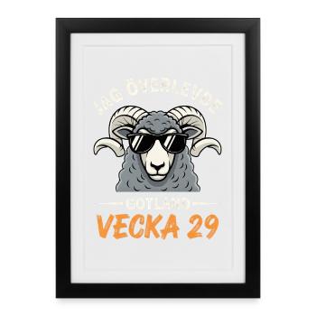 J’ai survécu à la semaine 29 de Gotland - Affiche encadrée (27 × 37 cm) - noir - Devant