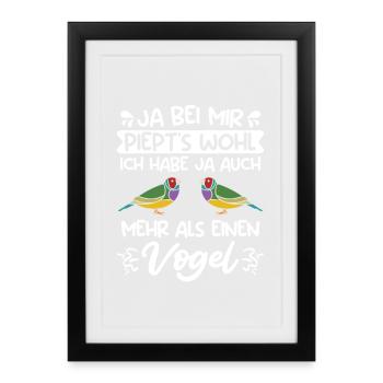 Gouldian Finch Estrildidae Gouldian Finch Piept Wohl - Framed poster (27 × 37 cm) - black - Front